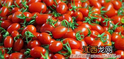 教你认识常见的转基因食品