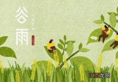 谷雨前后种什么农作物？2022年谷雨是哪一天