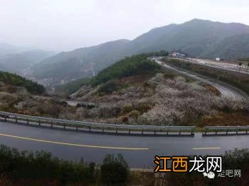 江浙沪最美的几条盘山公路