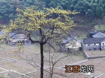 江浙沪最美的几条盘山公路