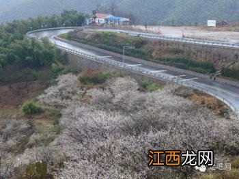 江浙沪最美的几条盘山公路