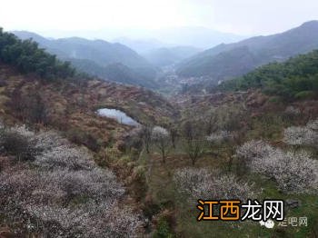 江浙沪最美的几条盘山公路