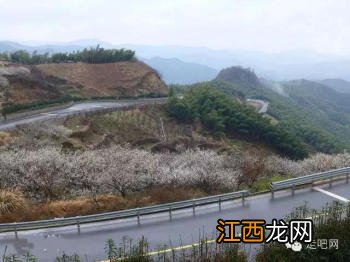 江浙沪最美的几条盘山公路