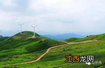 江浙沪最美的几条盘山公路