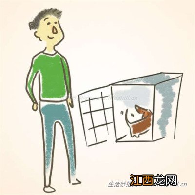 如何训练狗狗学会“握手”、“趴下”等特技？