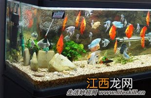 水族箱漏水了怎么办？