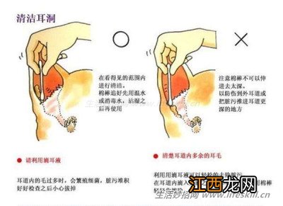 减少狗狗身上难闻的“体味”,从这三个地方入手。