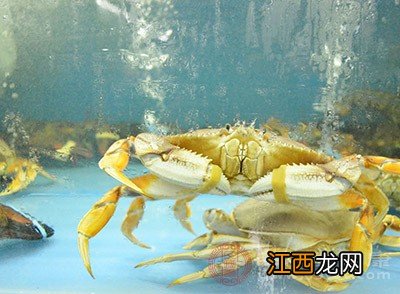 吃螃蟹的禁忌 螃蟹吃不对竟有这危害