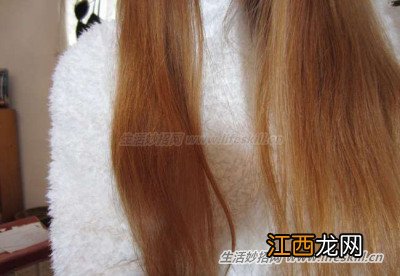 涨见识了！椰子油除了食用还有这么多小妙用。