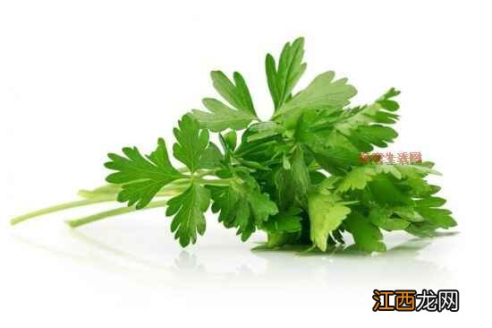 春天合理防止皮肤湿疹 应当吃啥