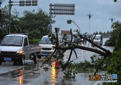 台风的危害性以及预防注意点