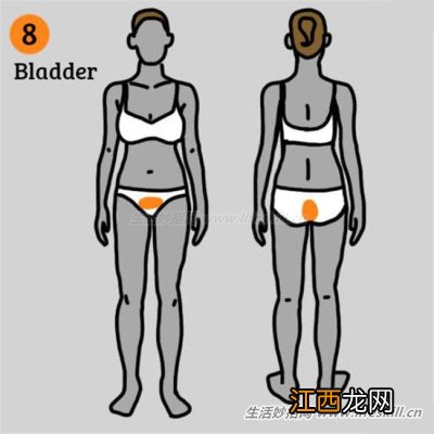 身体这9个部位的疼痛,在向你发出危险警报!