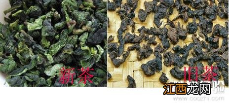 新茶好还是旧茶好？有什么区别