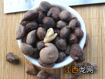 屈头鸡煲粥有什么功效