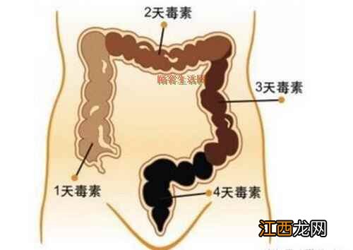 便秘按摩哪里马上见效 商阳治便秘掐哪只手图