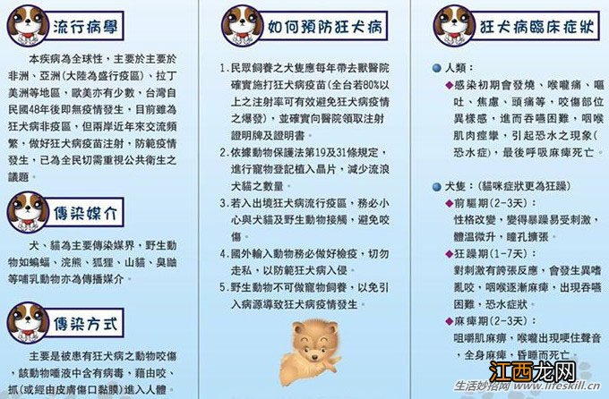 认识狂犬病，多一份认知就少点恐慌。