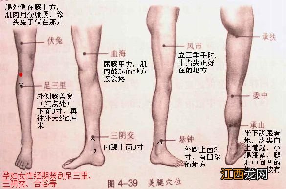 我亲身经历的刮痧瘦腿法