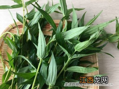 野菜纯天然有营养，你知道怎么吃吗？