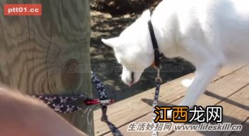 登山扣环的7个小妙用