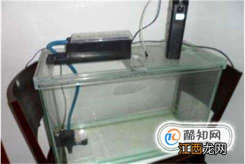 养鱼选用什么样的鱼缸好