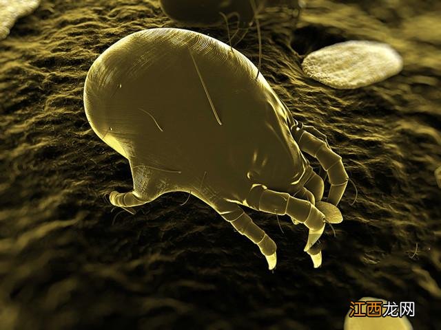 如何正确选择洗发水类型