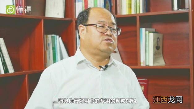 图文 小仓鼠应该怎么养