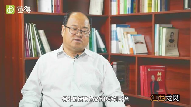 图文 小仓鼠应该怎么养