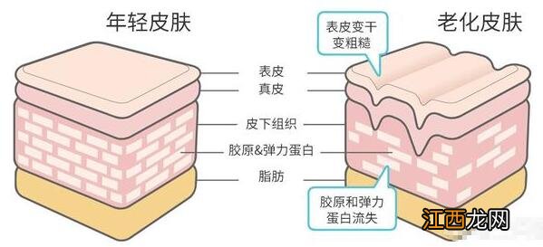 脸上皮肤松弛有什么办法恢复？