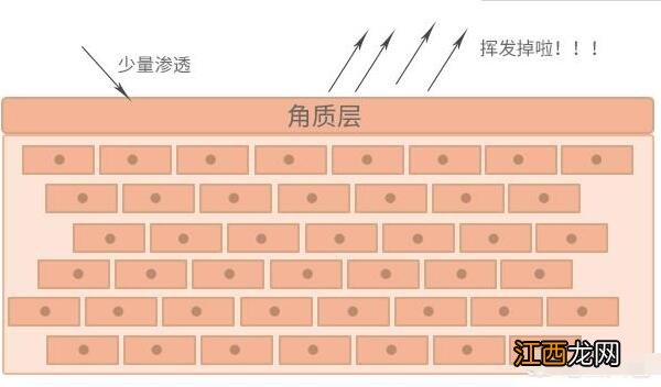 眼霜可以去眼袋的作用吗？