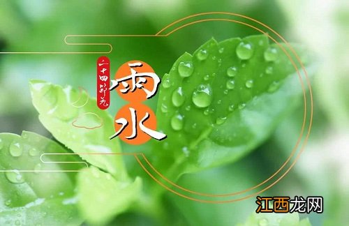 雨水节气一定会下雨吗 2.19蚂蚁庄园问题答案大放送