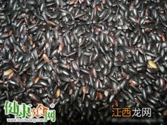 黑米的功效与作用及食用方法