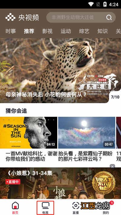 央视频app看回放方法介绍 央视频app如何看回放