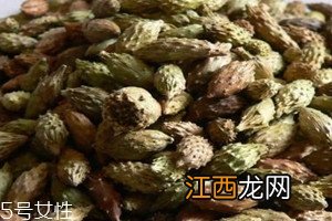 苍耳子可以泡脚吗？泡脚的功效