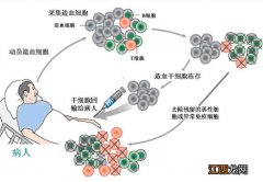 白血病可以预防吗？有哪些办法？