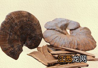 怎样辨别灵芝真假【图】