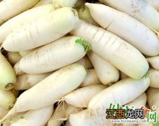 冬吃萝卜夏吃姜：教你秋冬季怎么吃萝卜最营养