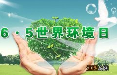 6月5日是什么节日？世界环境日是几月几日