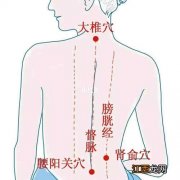 膀胱经的养生及饮食建议