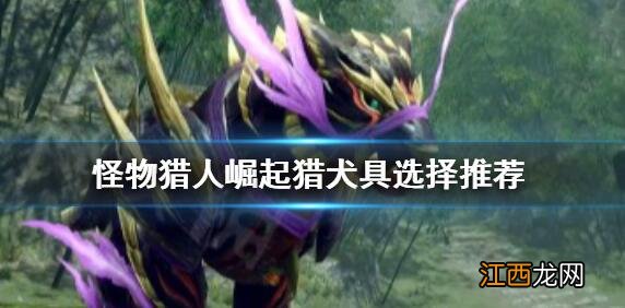 怪物猎人崛起猎犬具选择攻略 怪物猎人崛起猎犬具怎么选