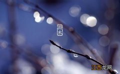 2019年雨水节气是农历几月几日 2019年雨水时间