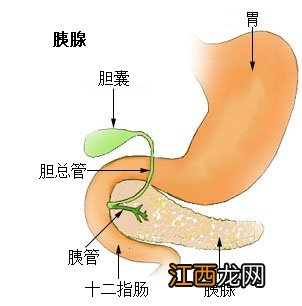 糖尿病是怎么回事？小心，你也有可能会患上！