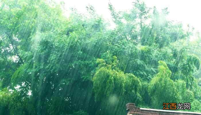 大风可达8级 上海今午后起部分地区大到暴雨