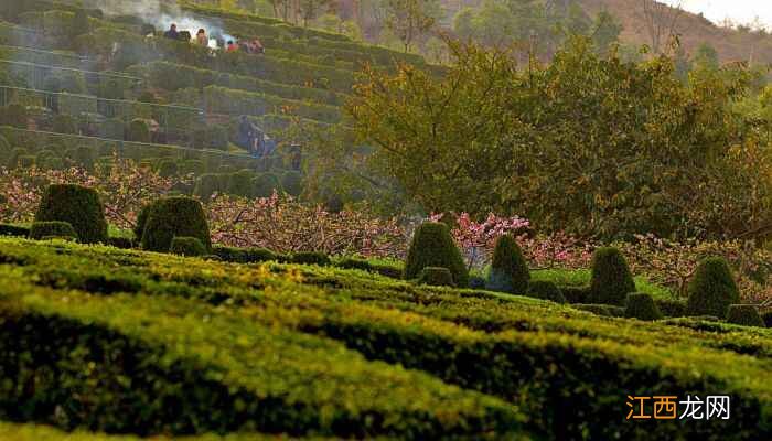 2022年清明节上坟最佳时间 2022清明节哪天上坟最好