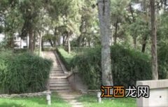 服侍慈禧五十年兢兢业业的李莲英，死后为何身首异处