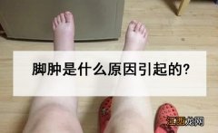 脚肿是什么原因引起的?