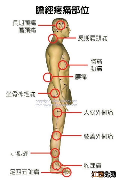 女身体各地对应疼痛图