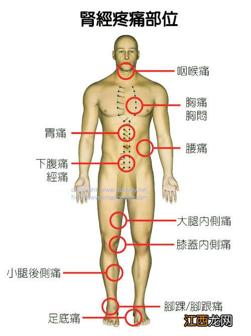 女身体各地对应疼痛图