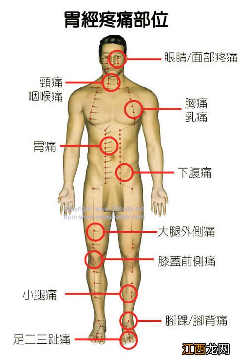 女身体各地对应疼痛图