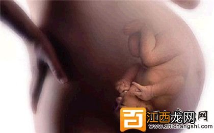 胎动是什么感觉?胎动多少次正常?如何数胎动?