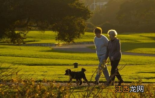 快走减肥的原理 选对减肥的方法很关键